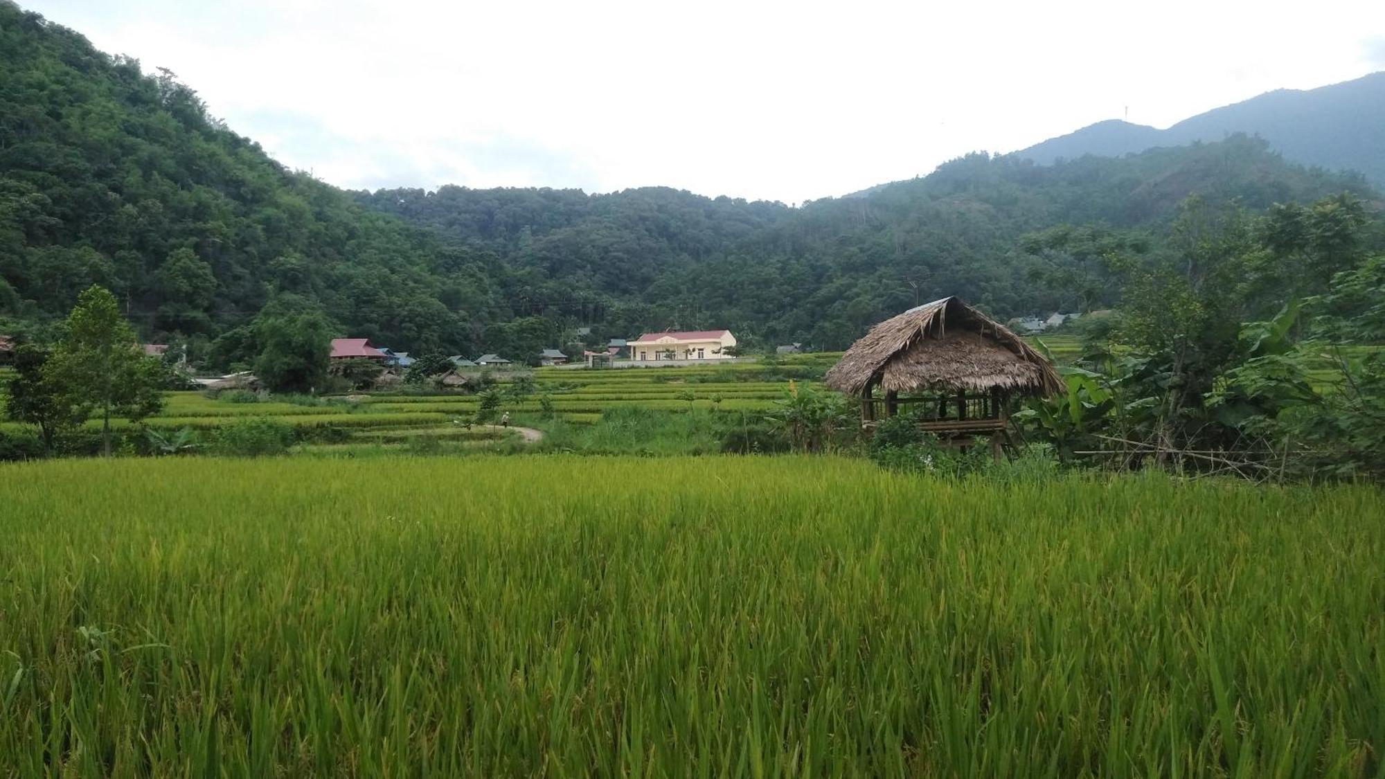 Bed and Breakfast Puluong Aroma Huong Ba Thuoc Esterno foto