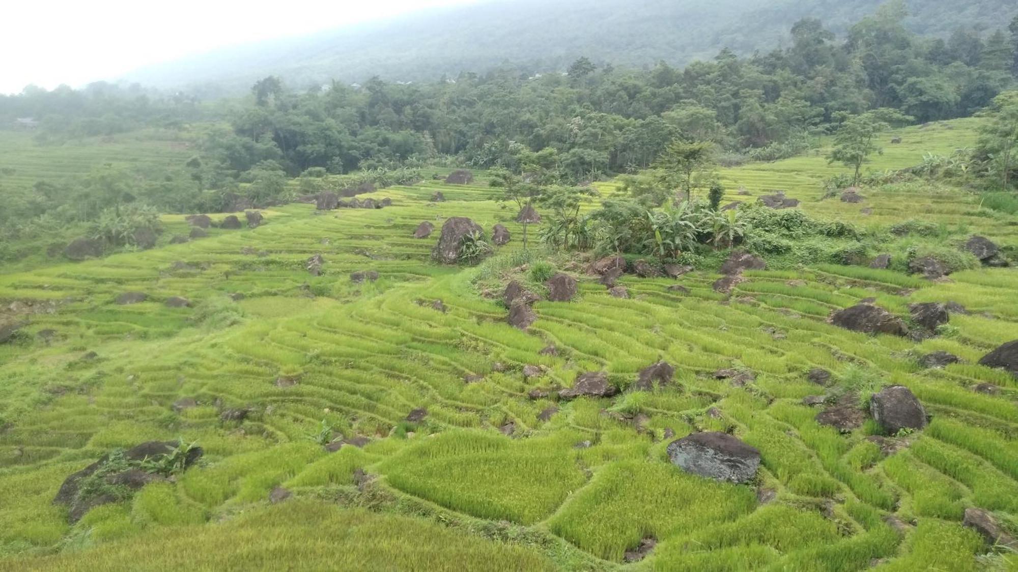 Bed and Breakfast Puluong Aroma Huong Ba Thuoc Esterno foto